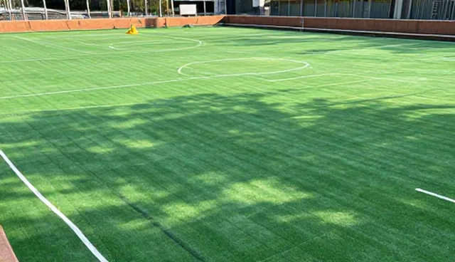 日常管理:篮球场地基处理施工规范分析